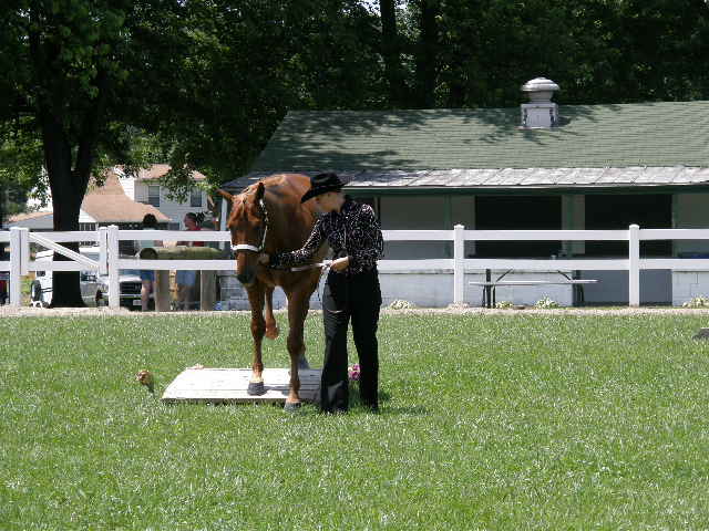 20090616_138.JPG 