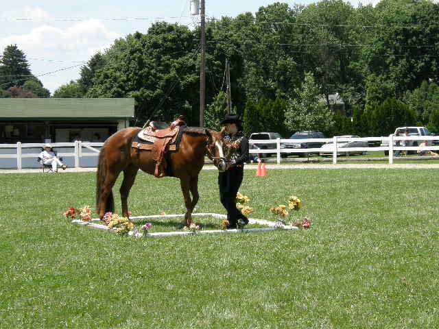 20090616_162.JPG 