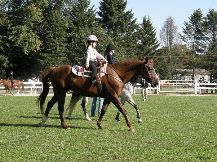columbia_2009_finals_097.JPG 