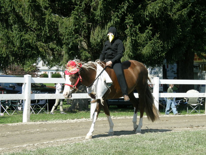 columbia_2009_finals_246.JPG 